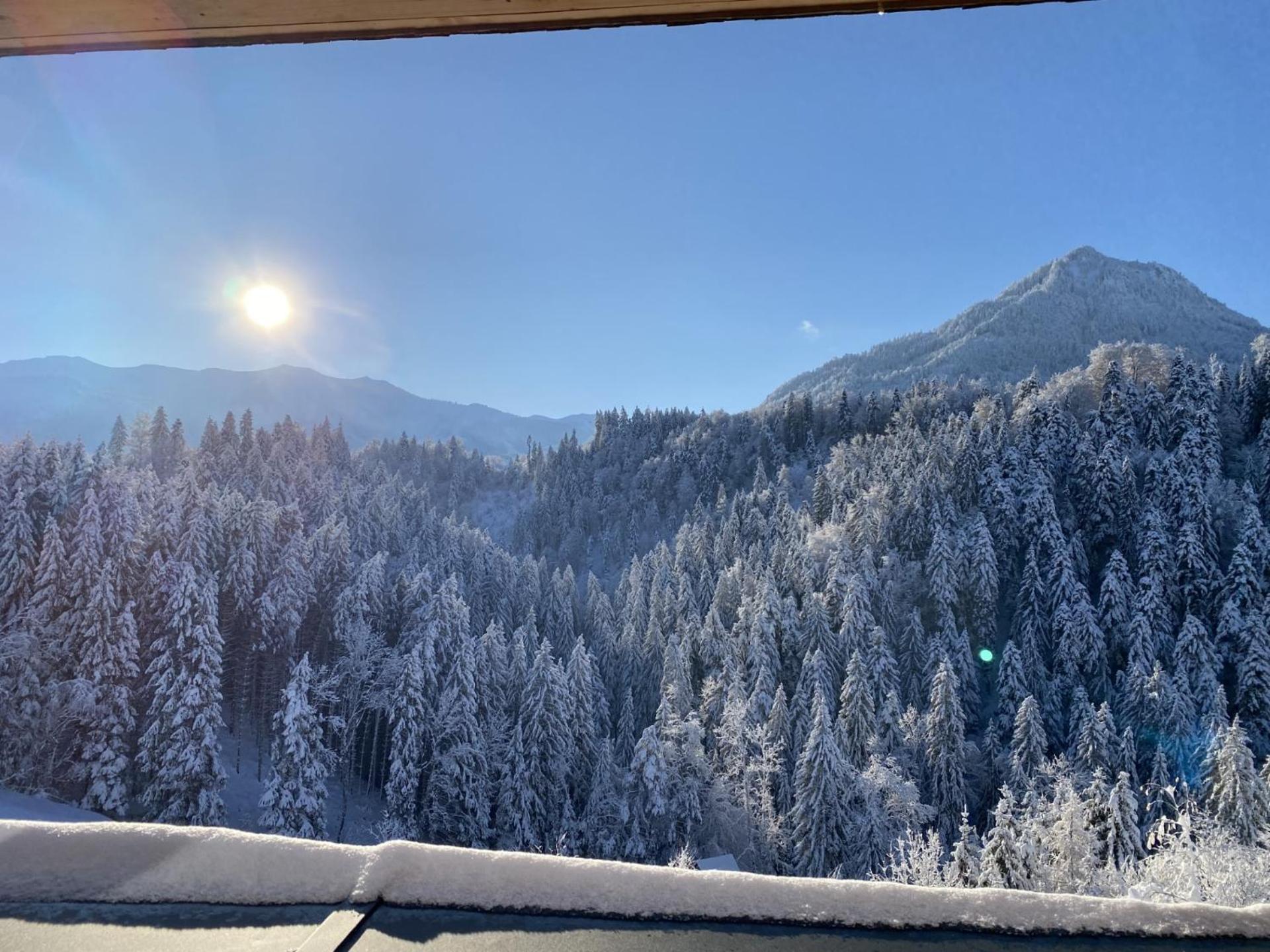 Wohnung Staufenblick Und Wohnung Firstblick Dornbirn Extérieur photo