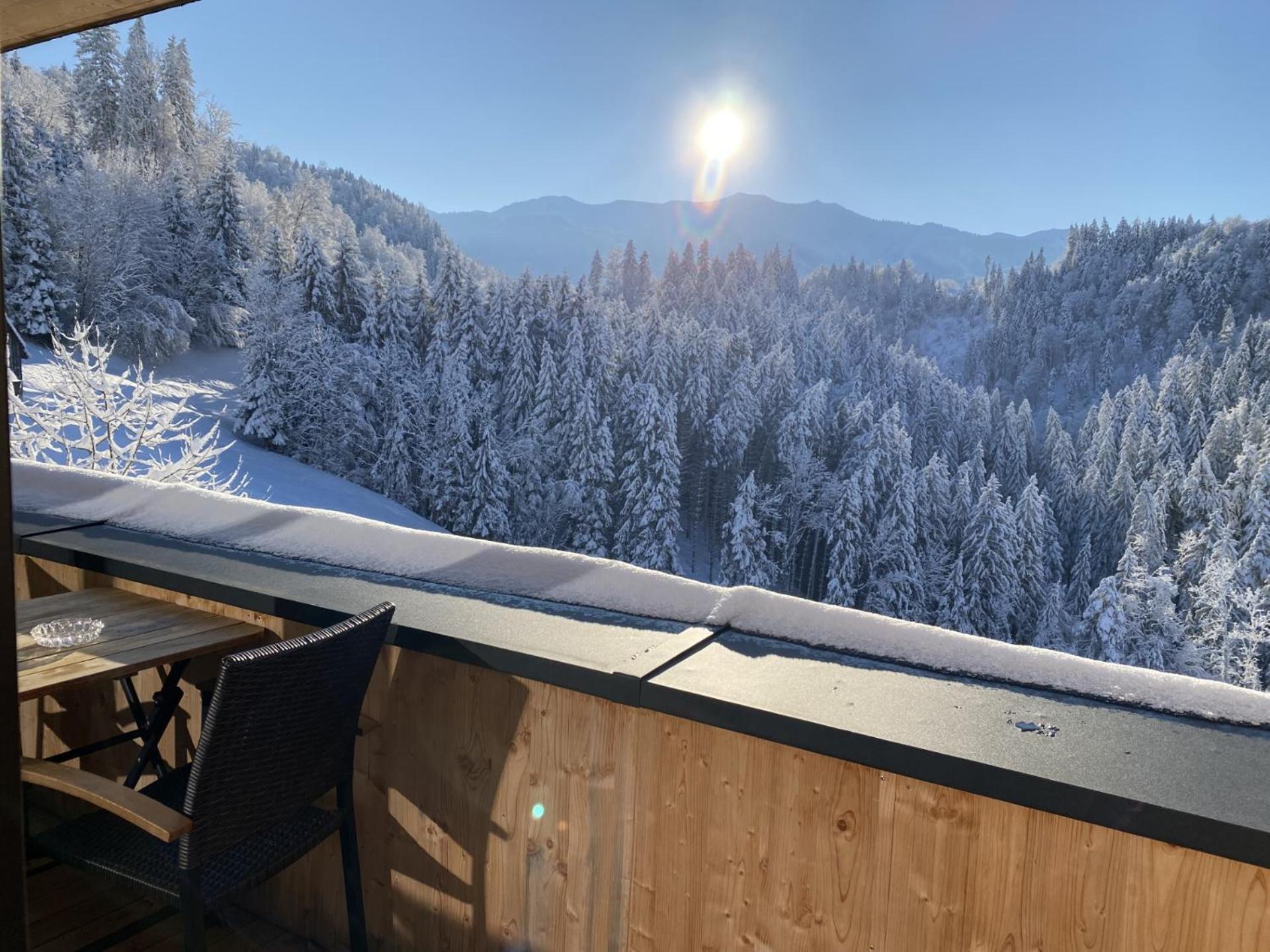 Wohnung Staufenblick Und Wohnung Firstblick Dornbirn Extérieur photo
