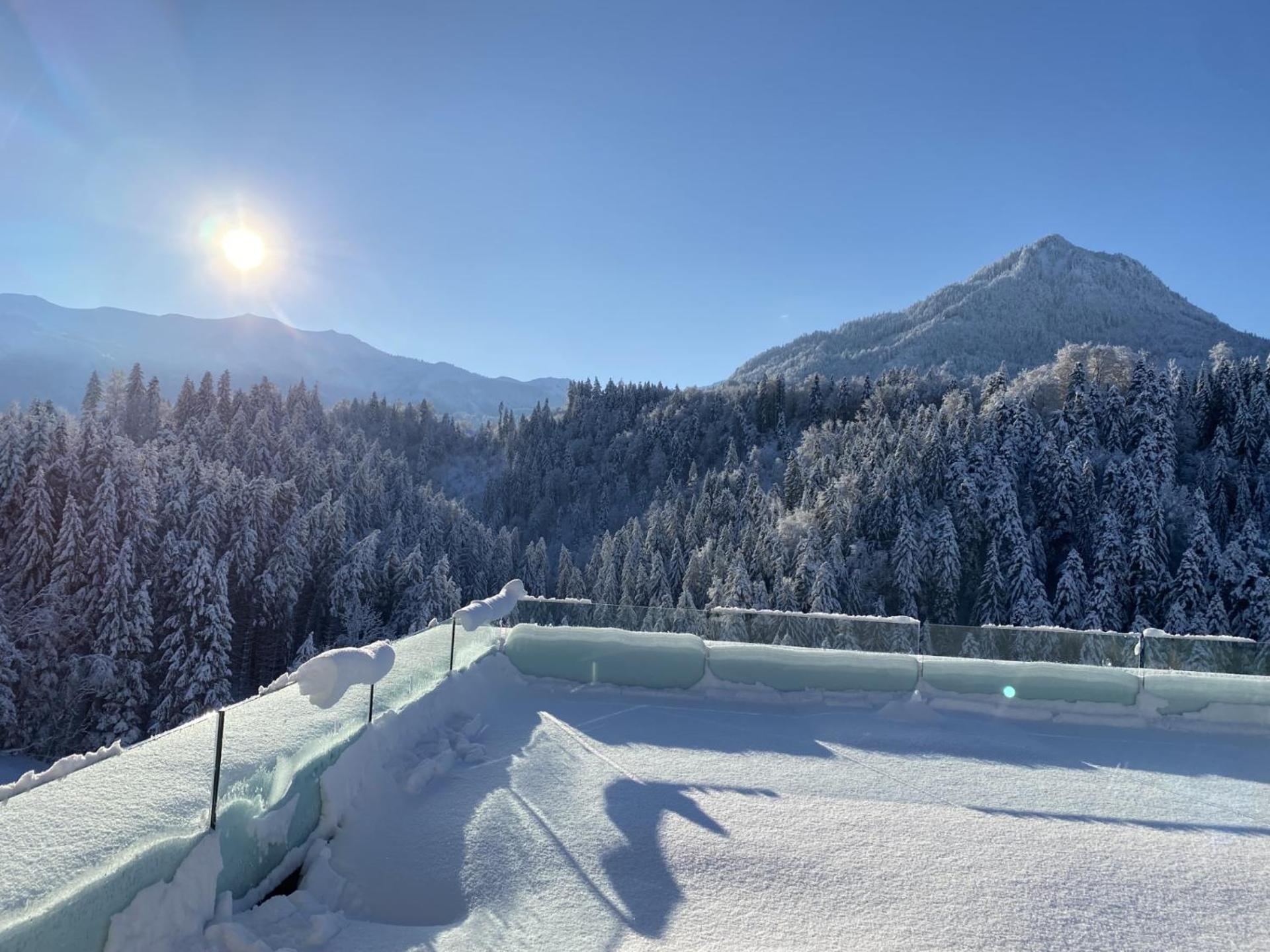Wohnung Staufenblick Und Wohnung Firstblick Dornbirn Extérieur photo
